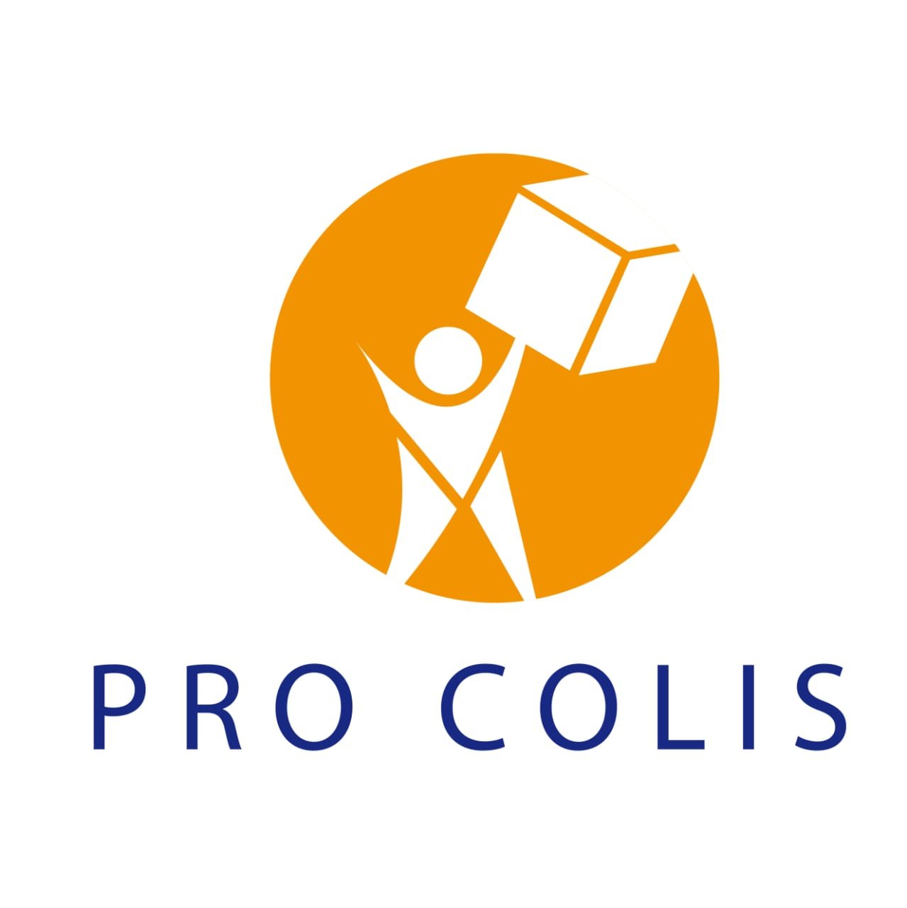 ProColis - Service de livraison professionnel